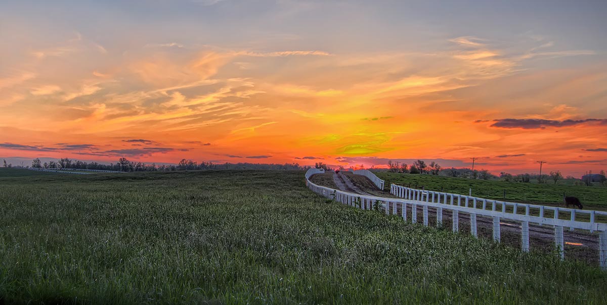 After attending the Kentucky Bourbon Festival, relax and unwind in rural paradise at our Kentucky Bed and Breakfast