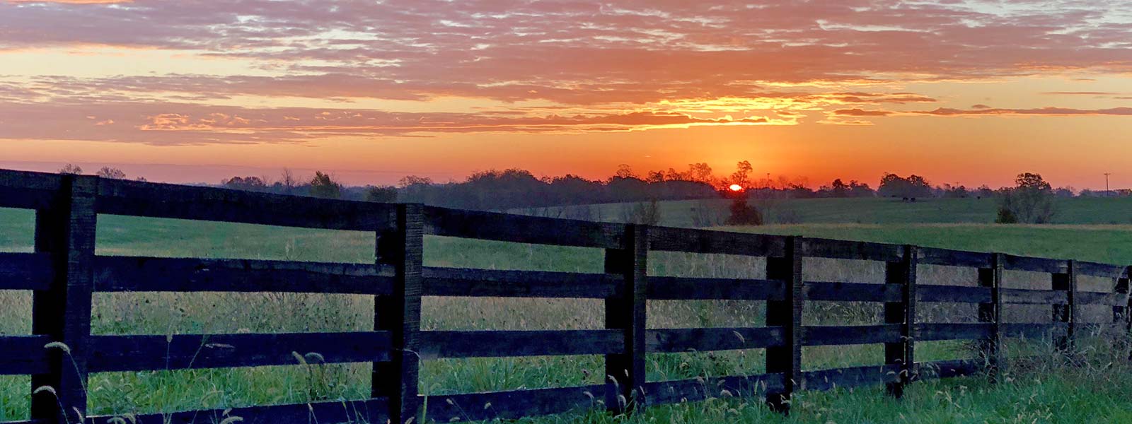 Gorgoues sunset at our Kentucky Bed and Breakfast - one of the best things to do in Bardstown this fall