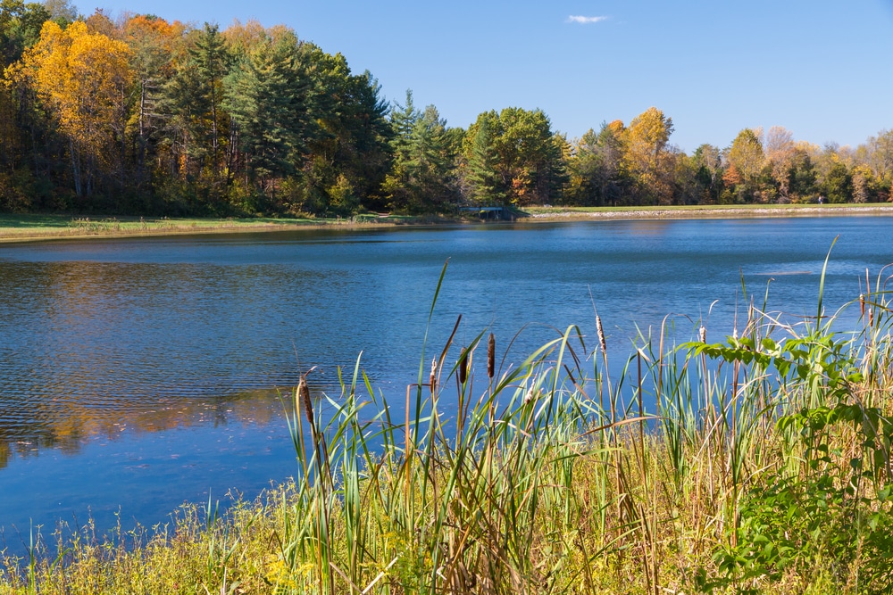 A lake surrounded by fall foliage at the Bernheim Arboretum and Research Forest in Kentucky